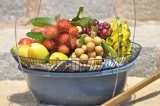 фруктовый рай Вьетнама